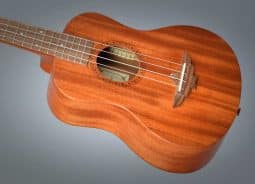 Aklot concert ukulele review cheap