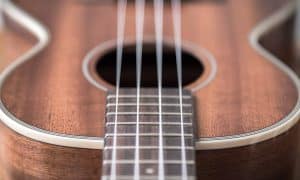 Best Concert Ukulele Under $100 - Featured Image - BeginnerUkuleles.com