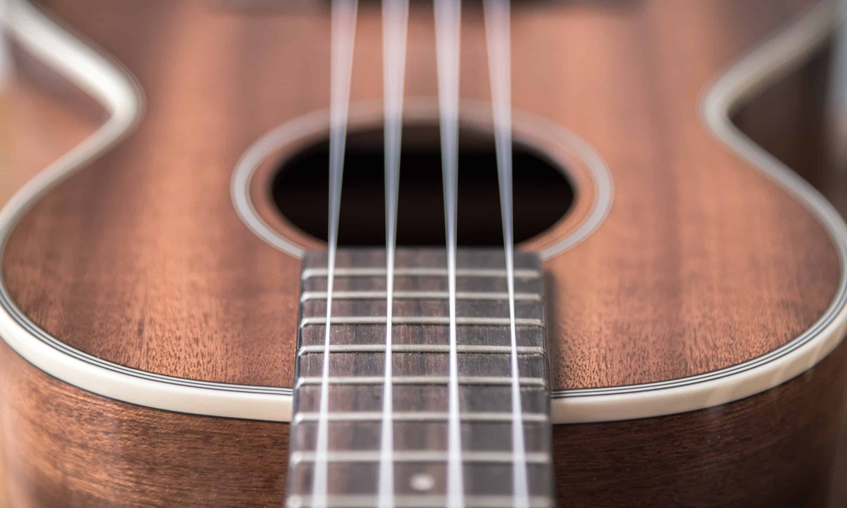 The 6 Best Concert Ukuleles for Under $100 (2022 Edition)