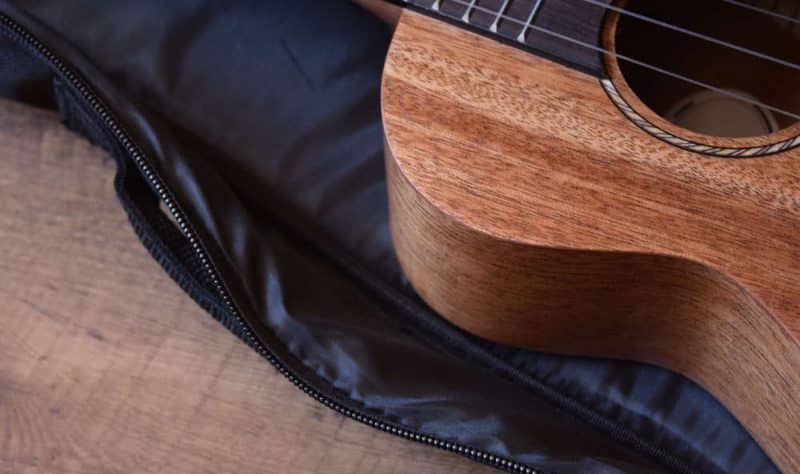 Donner ukulele gig bag close-up