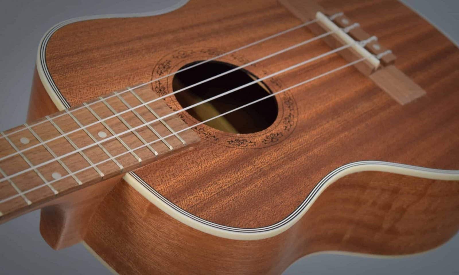 lærer Ananiver hensigt Hricane Ukulele Review: Are They Any Good? (2022 Edition)