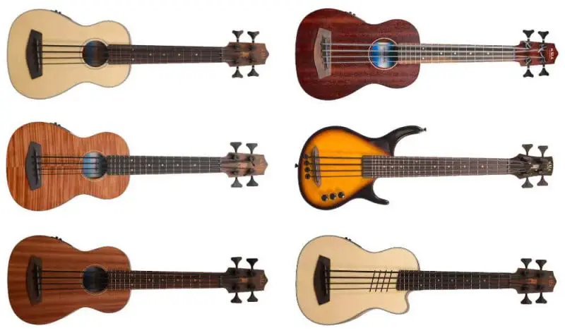 Kala U-Bass Ukulele Bass Collage