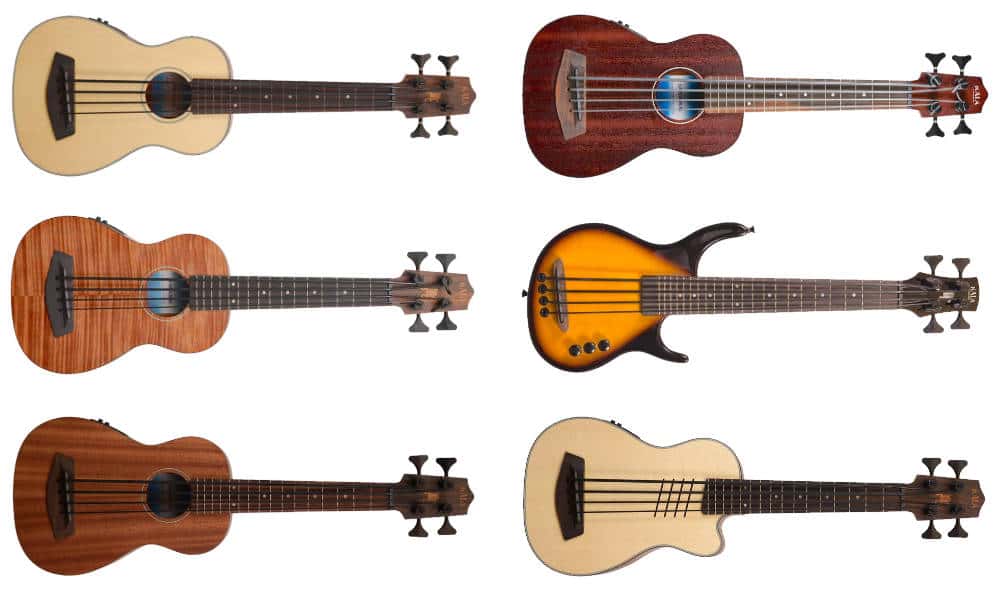 Types of Ukuleles What Are the Different Kinds of Ukes? (2022 Edition)