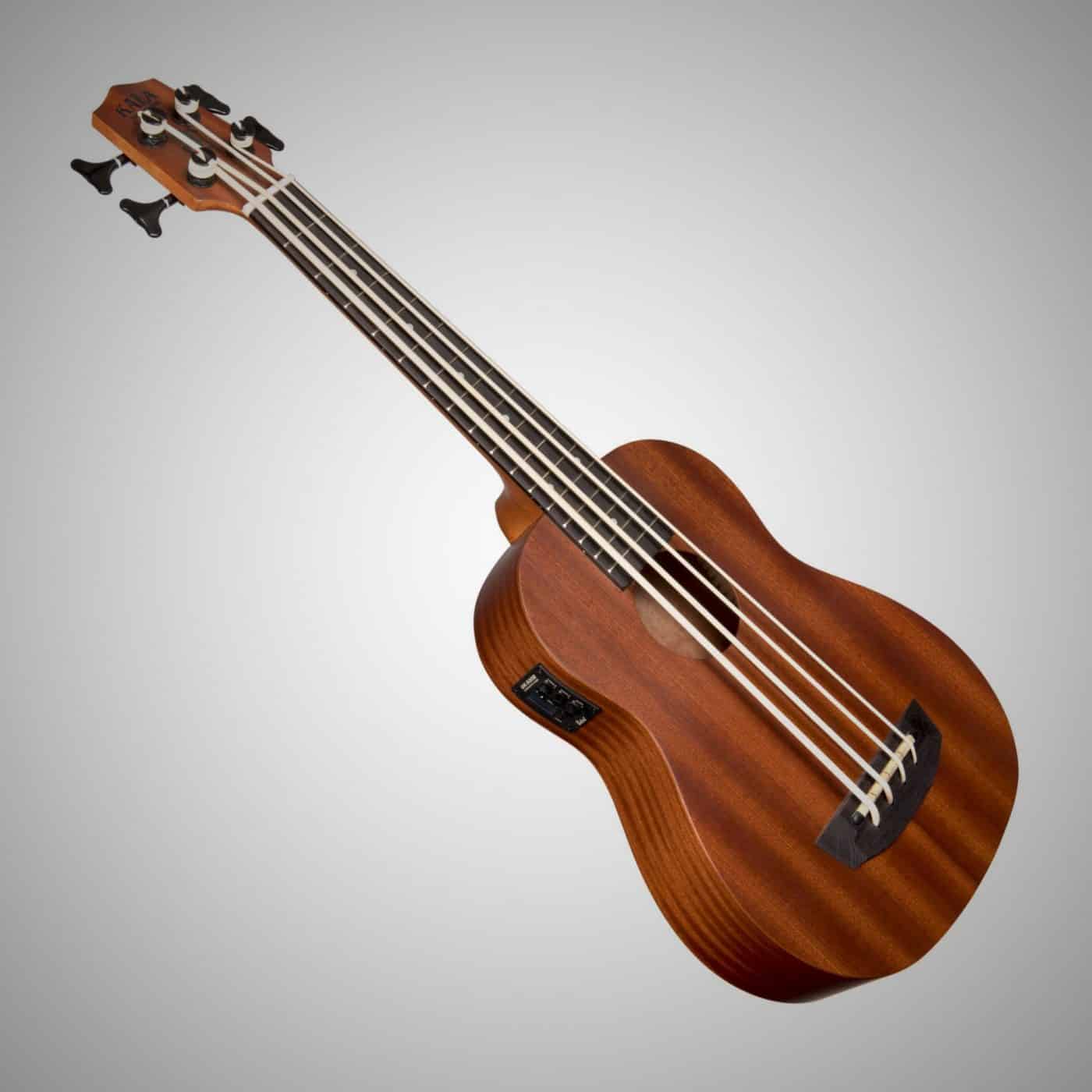 Tøm skraldespanden stadig G Best Bass Ukulele Reviews & Buyer's Guide (2022 Edition)