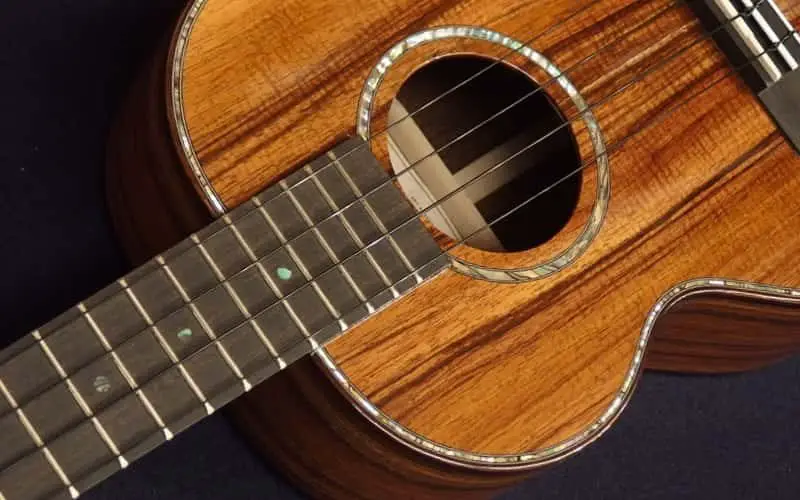 Kamaka HF-3 D2I Tenor Deluxe 2 ukulele