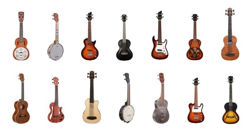 Types of Ukuleles: What Are the Kinds of Ukes? (2022 Edition)