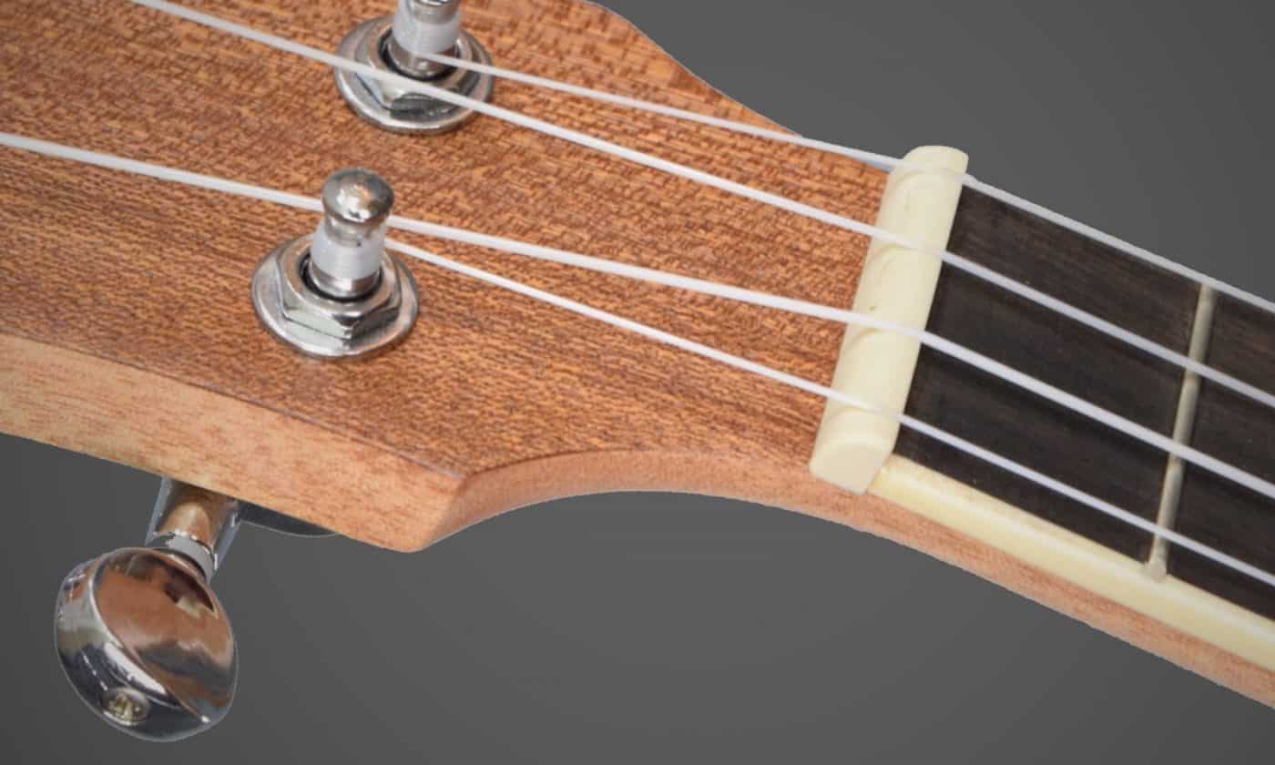 fordelagtige diskriminerende kom over Ukulele String Notes, Names & Numbers: What You Need Know